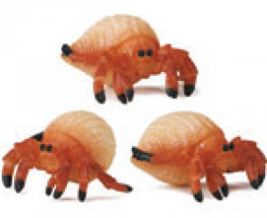 Hermit Crabs - Good Luck Minis Set of 10 Safari Ltd