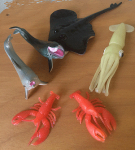 Sea Life-6 Asst