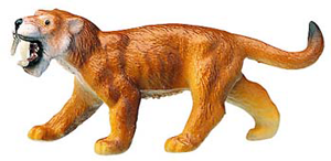 Saber Tooth Cat
