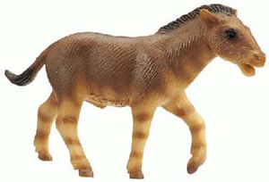 Bully Ancient Horse