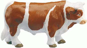 Bull-Brown & White