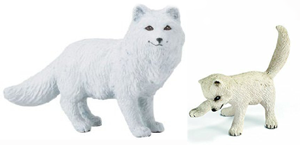 Arctic Fox with Kit