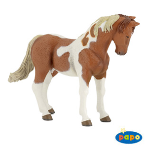 Papo Pinto Mare
