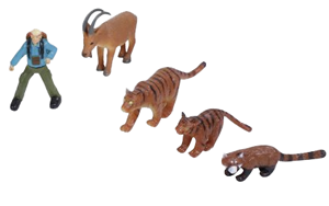 Wild Repubic Asian 12 inch Tube