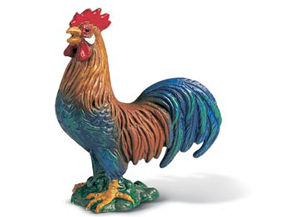Rooster Crowing