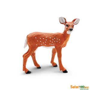 Safari Whitetail Fawn