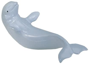Safari Beluga calf