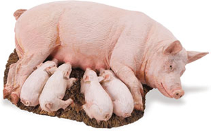 Safari Sow with Piglets