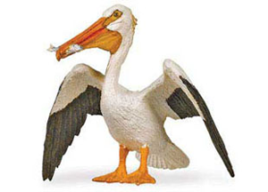 Safari White Pelican