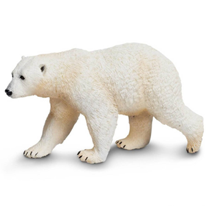 Safari Polar Bear