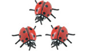 Safari Mini Ladybugs-3 Pack