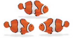 Safari Mini Clown Fish 3 Pack