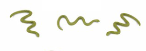 Safari Mini Snakes 3 Pack