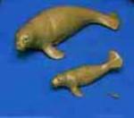 Manatee-Large with Calf